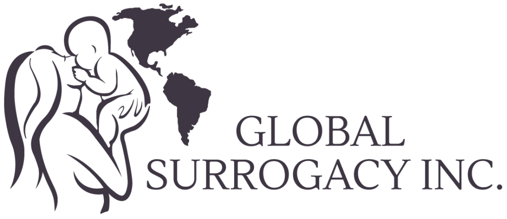 GSI logo blk